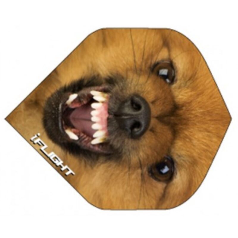 Billaresbalsalobre Pluma Ruthless Invincible Standard Perro INV-26 - Imagen 2