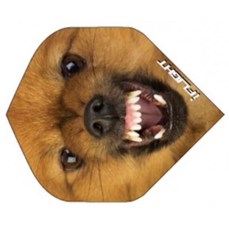 Billaresbalsalobre Pluma Ruthless Invincible Standard Perro INV-26 - Imagen 3
