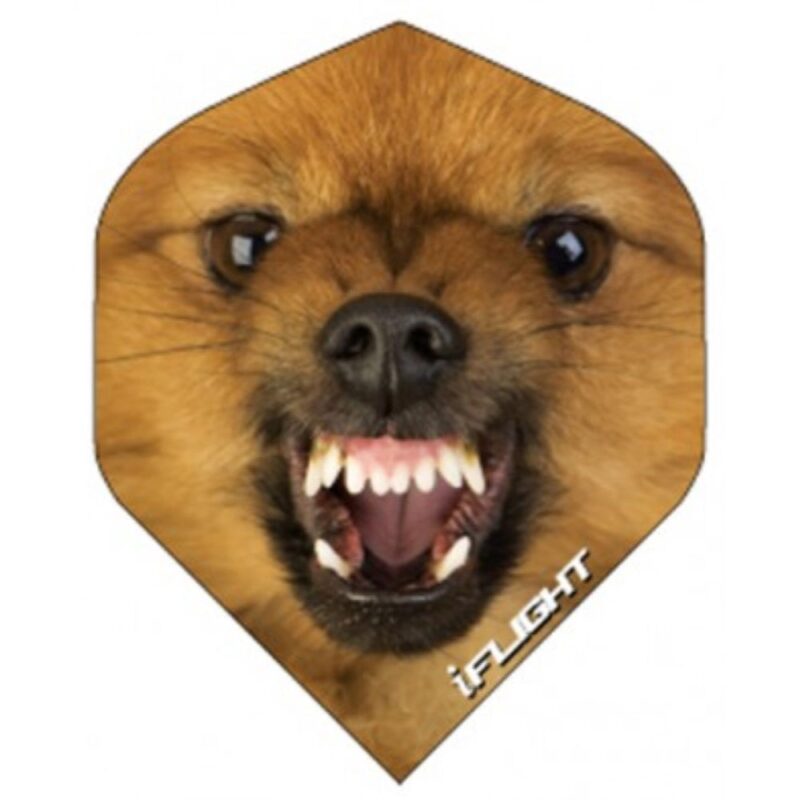 Billaresbalsalobre Pluma Ruthless Invincible Standard Perro INV-26