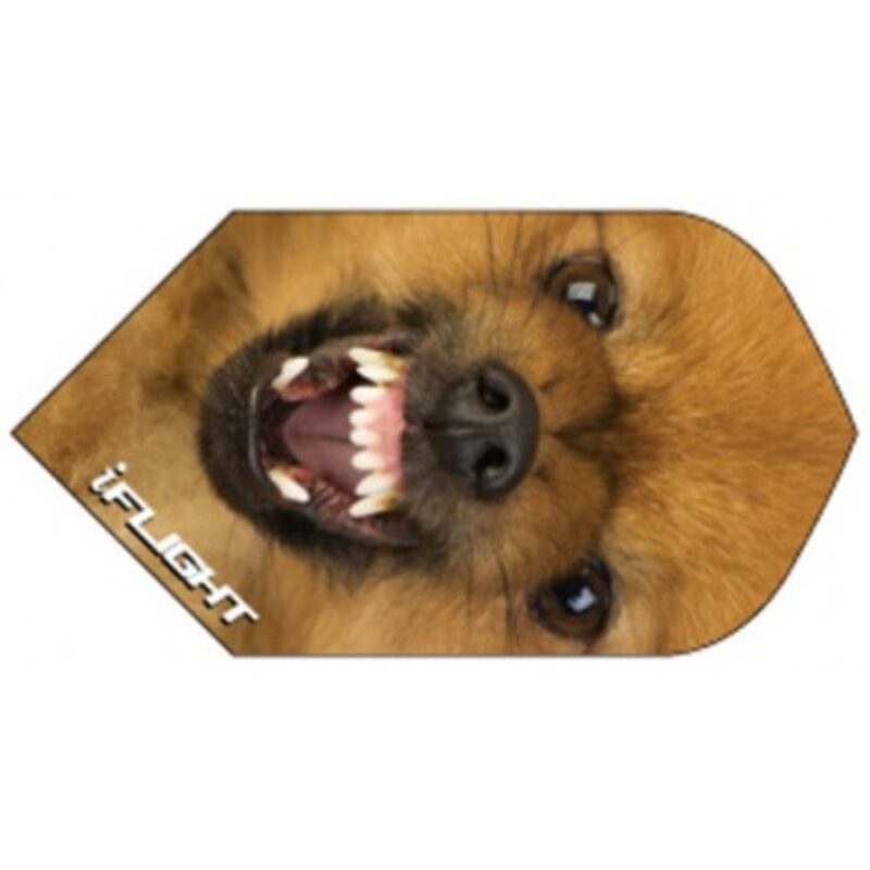 Billaresbalsalobre Pluma Ruthless Invincible Slim Perro INV-814 - Imagen 2