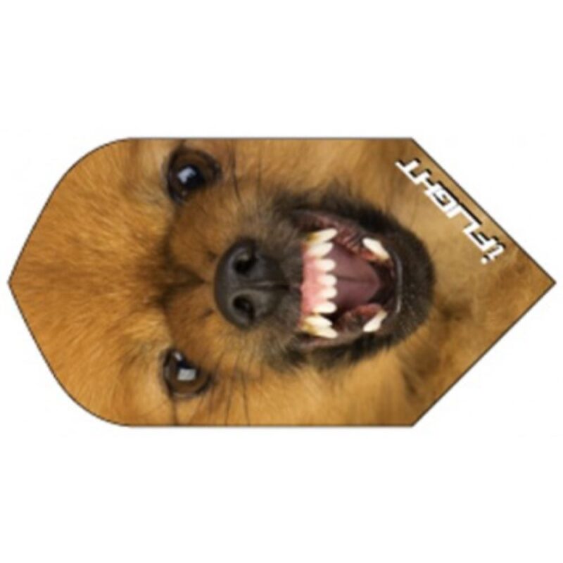 Billaresbalsalobre Pluma Ruthless Invincible Slim Perro INV-814 - Imagen 3