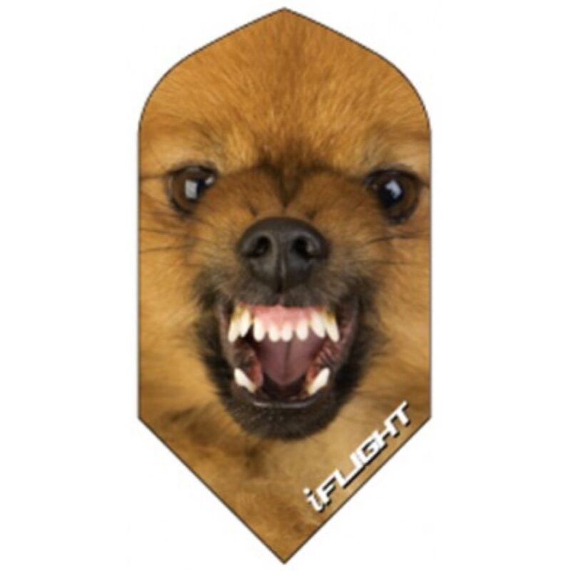 Billaresbalsalobre Pluma Ruthless Invincible Slim Perro INV-814