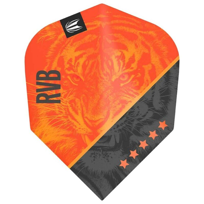 Billaresbalsalobre Plumas Target Raymond Van Barneveld Gen4 Pro Ultra NO6 330820 - Imagen 2