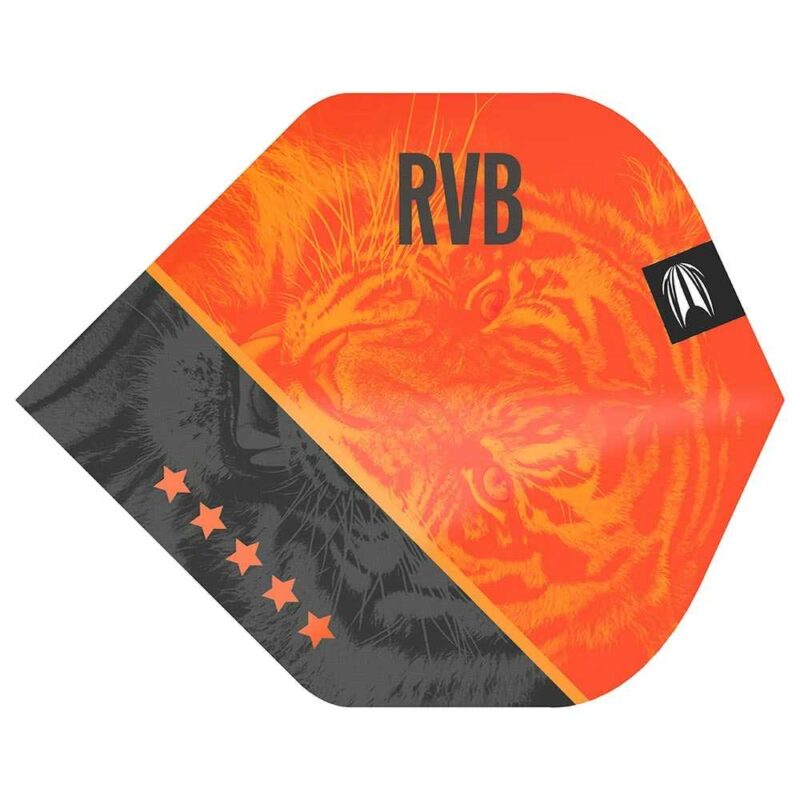 Billaresbalsalobre Plumas Target Raymond Van Barneveld Gen4 Pro Ultra NO2 330830 - Imagen 3