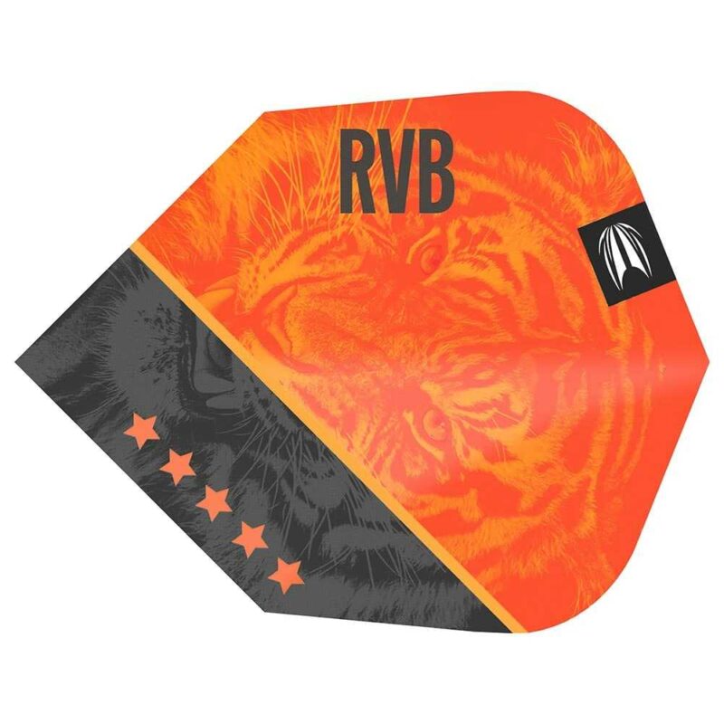 Billaresbalsalobre Plumas Target Raymond Van Barneveld Gen4 Pro Ultra Ten-X 330840 - Imagen 3