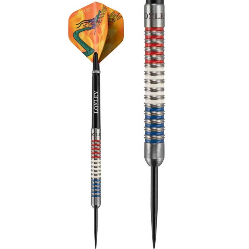 Billaresbalsalobre Dardos Loxley Darts Jules Van Dongen 90% 21g Punta Acero - Imagen 3