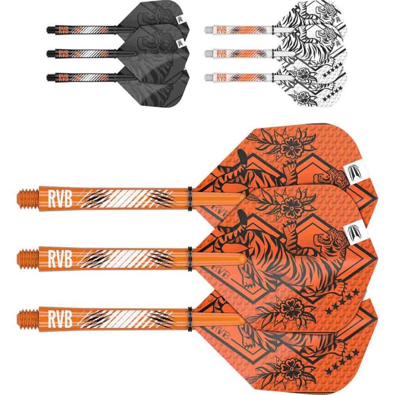 Billaresbalsalobre Plumas Target Raymon Van Barneveld Ink Bundle (3 Sets) Plumas + Cañas Intermediate 420002 - Imagen 2