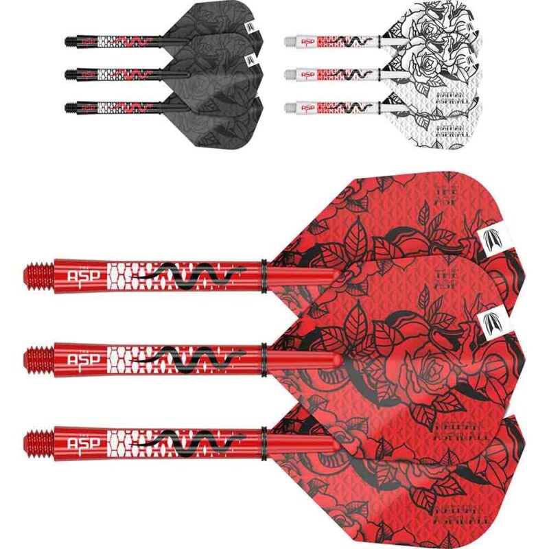 Billaresbalsalobre Plumas Target Nathan Aspinall Ink Bundle (3 Sets) Plumas + Cañas Intermediate 420005 - Imagen 3