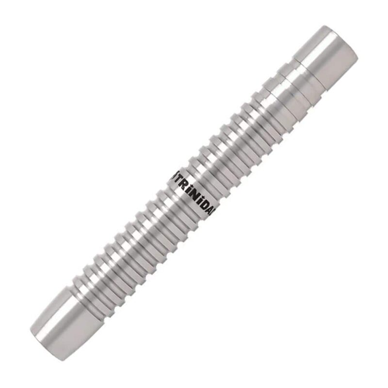 Billaresbalsalobre Dardos Trinidad Darts Eikichi Nakanishi Saldivar Tipe 2 Soft tip 21gr 90%
