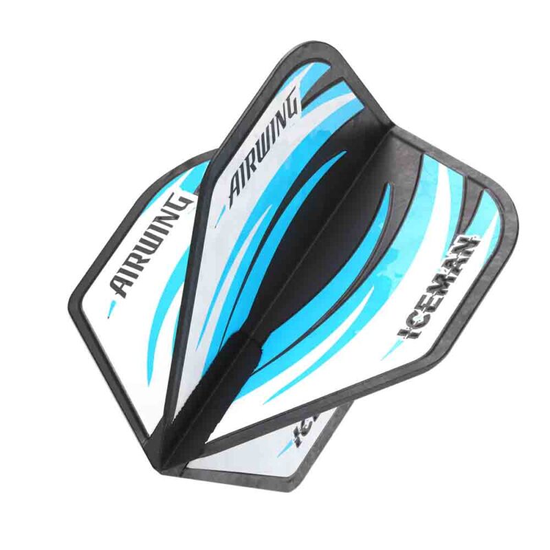 Billaresbalsalobre Plumas Red Dragon Airwing Gerwyn Price Negro Azul Standard F6907