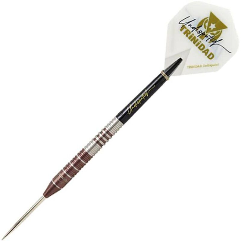 Billaresbalsalobre Dardos Trinidad Darts Kid Type 2 Tomoya Goto 95% 24g - Imagen 4