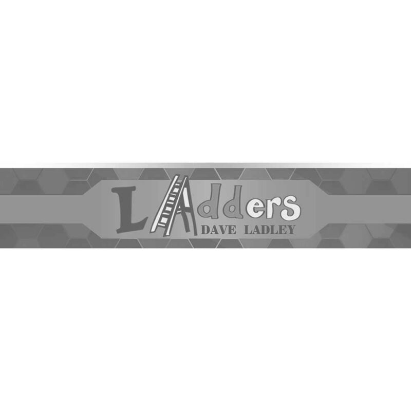 Billaresbalsalobre Dardos One80 Ladders Dave Ladley 90% 20g 9448 - Imagen 3