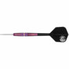 Billaresbalsalobre Dardos Target Japan Kasumi Sato Endeavour G1 Swiss 90% 22.5g 190505