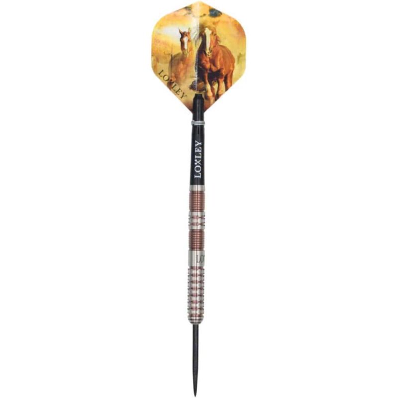 Billaresbalsalobre Dardos Loxley Darts Mustang 90% 22g 90% Punta Acero - Imagen 2